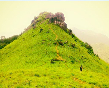 green grass heritage
