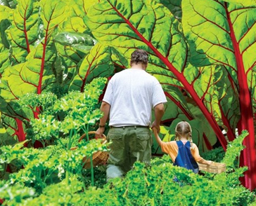 green grass heritage