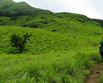 green grass heritage