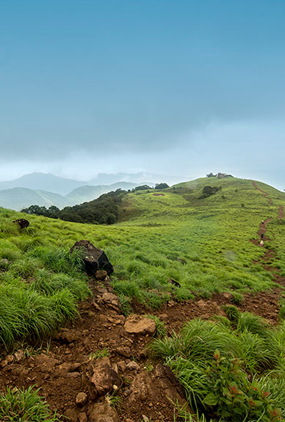 best tourism place in kerala